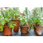 Greenhouse Watering Kit