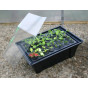 Hydropod 40 cuttings Propagator