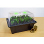 Hydropod 40 cuttings Propagator