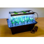 Hydropod 40 cuttings with lights
