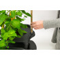 Quadgrow Mulch Cap & Cane Support Kit 