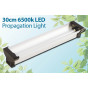 LED Lights - Propagation