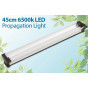LED Lights - Propagation
