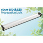 LED Lights - Propagation