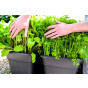 Quadgrow Root Veg Planter