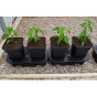 Quadgrow Self Watering Planter 