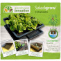 Standard Salad & Veg Planter