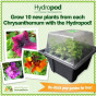 Hydropod Cuttings Propagator - available heated or unheated