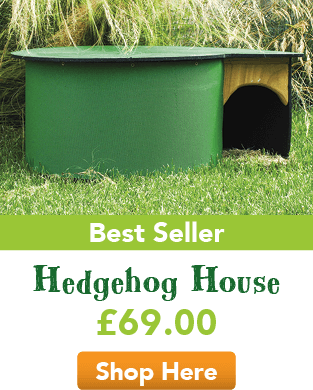 Hedgehog House