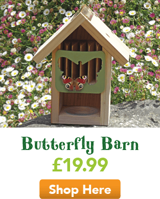 Butterfly Barn
