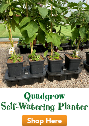 Quadgrow Planter