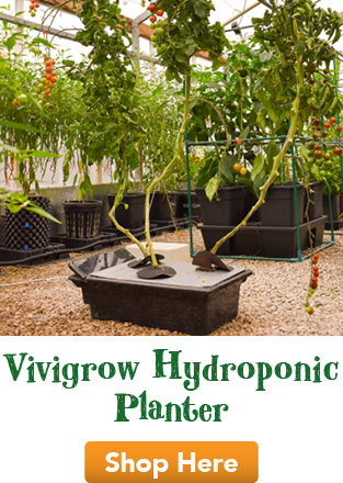 Vivigrow Planter