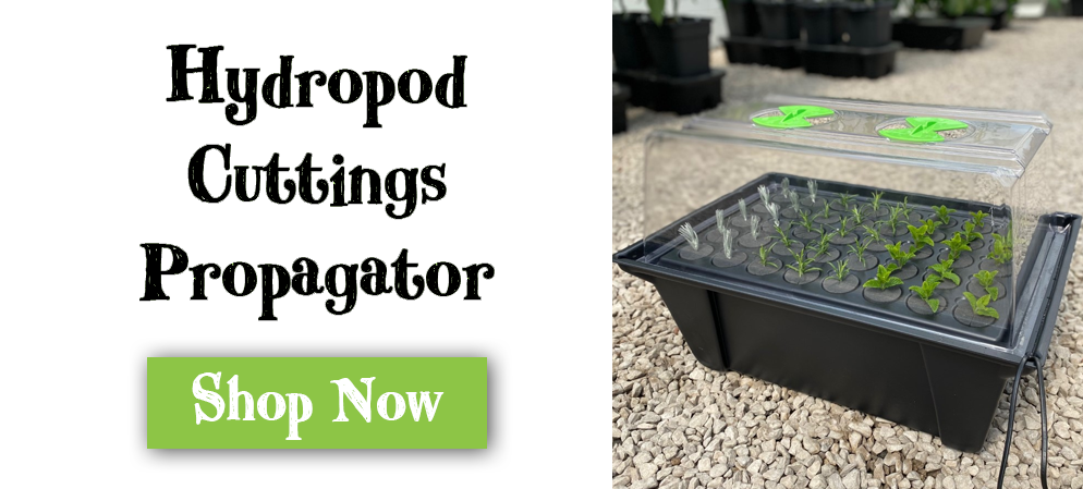 Hydropod Cuttings Propagator