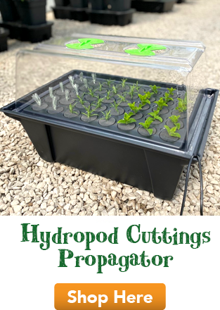 Hydropod Cuttings Propagator