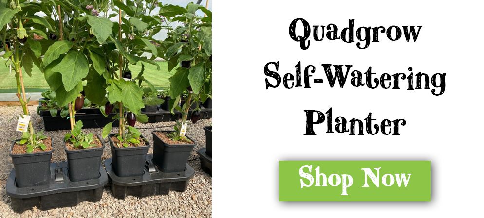 Quadgrow Self-Watering Planter
